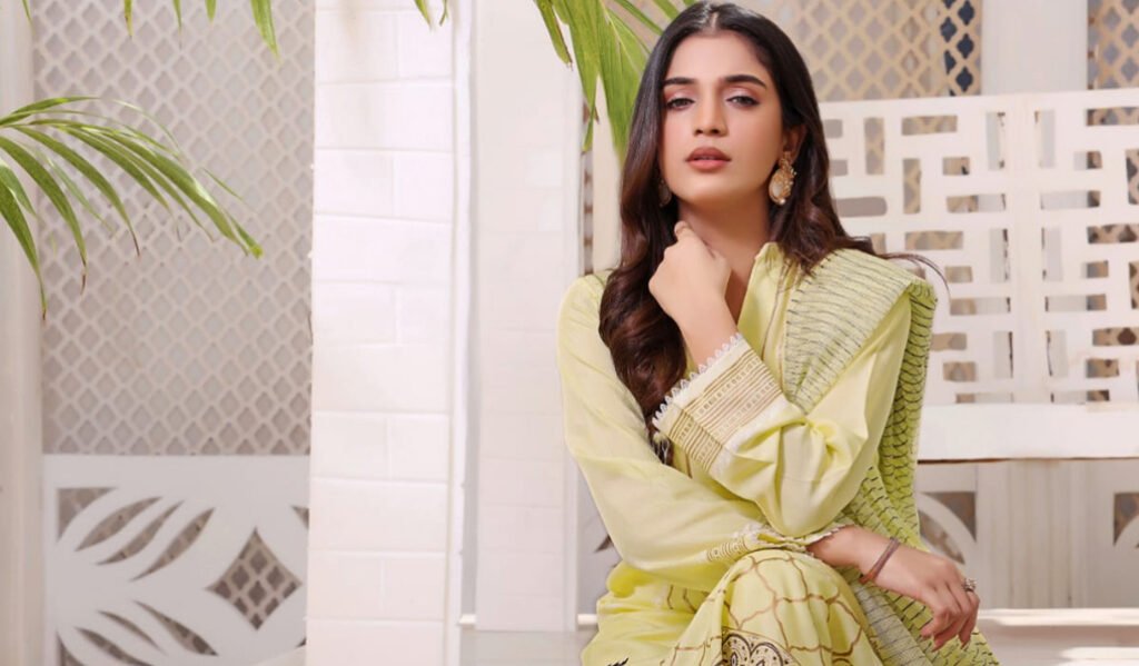 Embroidery in Pakistani Silk Dress